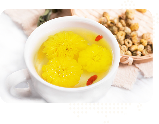 始建于2015年，實(shí)力雄厚